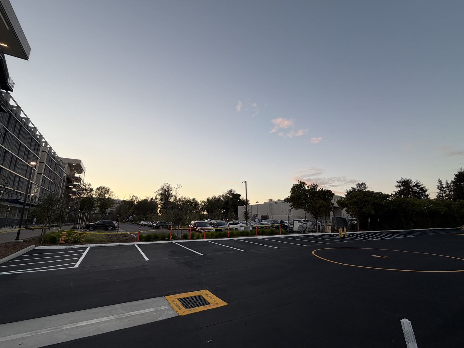 Born To Stripe striping work: an office campus parking lot with fresh stall lines and hatched zones
